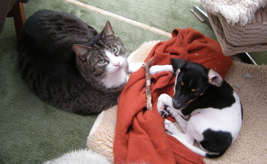 Fritz und Lotta